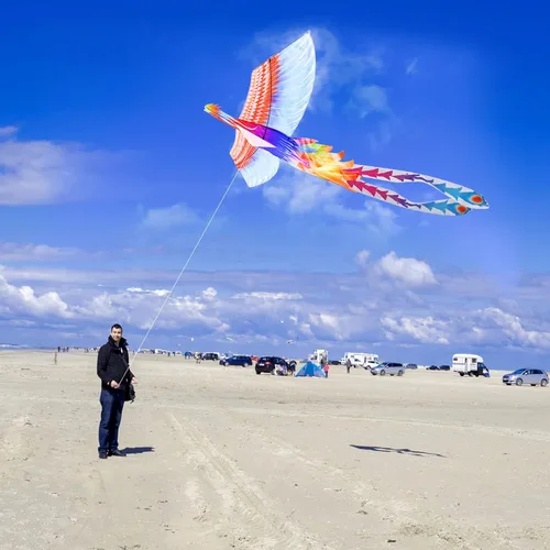 Miniatura 5 de Mint’s Colorful Life Large Kite for Kids and Adults, Easy to Fly Single Line Beach Kites, Comes with 300ft String Handle