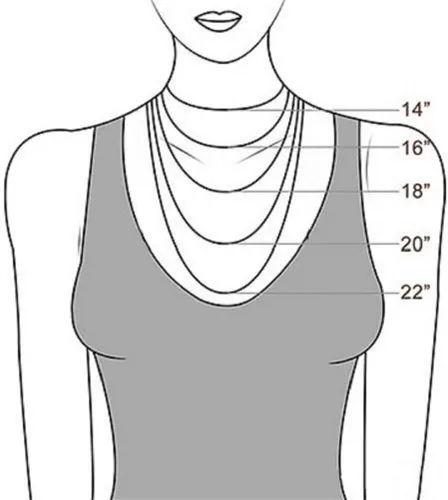 Miniatura 5 de Vera Bradley Camiseta gráfica de manga larga de algodón con cuello redondo para mujer (talla extendida)