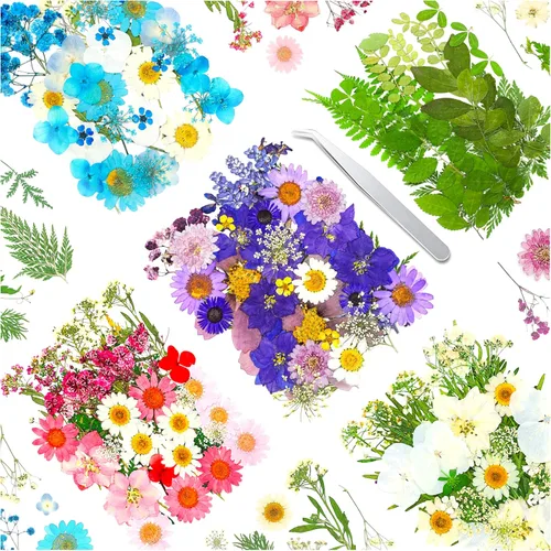 Más de 170 pétalos de hojas de flores secas prensadas para manualidades, hermosas flores prensadas margaritas para joyas de resina, flores