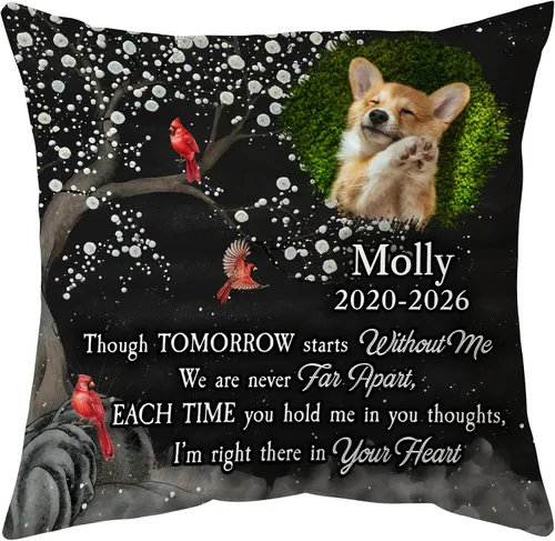 Miniatura 22 de Hyturtle Almohada personalizada conmemorativa de condolencia con inserción - 12"x12" impresa por ambas caras con nombre personalizado y foto