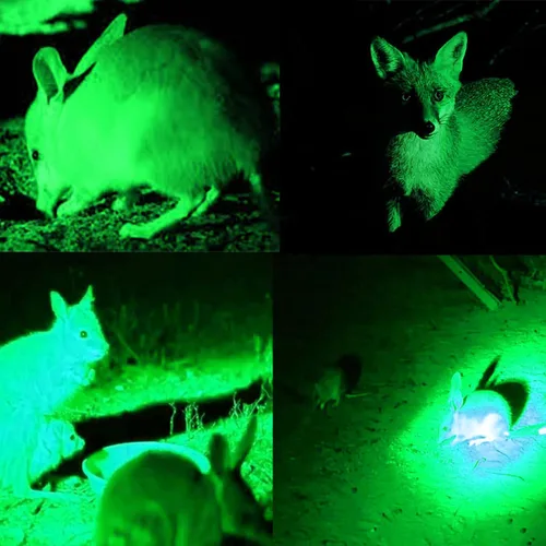 Miniatura 7 de WINDFIRE Luz de depredador verde de 300 yardas, linterna LED táctica con zoom, Coyote Hog Fox Varmint - Kits de linternas de caza con interruptor