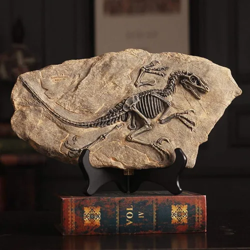 Miniatura 6 de XINDAM Modelo de estatua de fósil de dinosaurio de resina, esqueleto simulado para exhibición en hogar y oficina, caja decorativa de manualidades