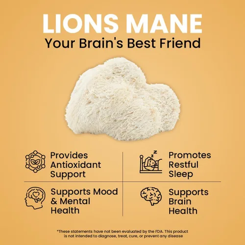 Miniatura 4 de NooMost Cápsulas de suplemento de hongos de melena de leones de 1080 mg con ginkgo biloba, energía, enfoque, claridad y apoyo de memoria