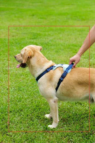 Miniatura 8 de Arnés para Perro Sin Tirones, Juego de Correa y Collar, Chaleco Suave y Ajustable para Perros, Reflectante y con Mango Cómodo Azul, Talla Pequeña