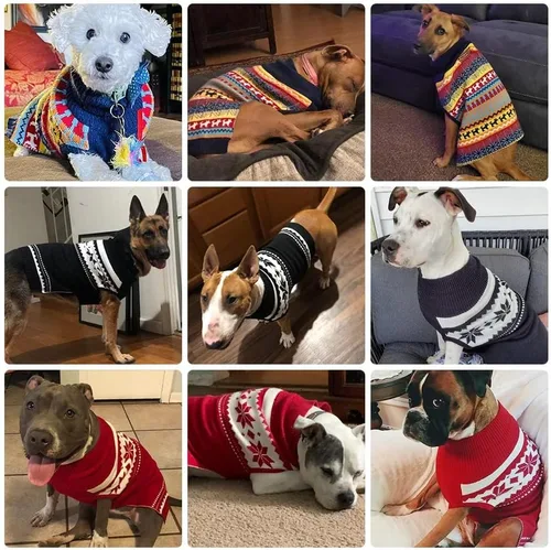 Miniatura 6 de Mihachi Suéter para perro, abrigo de invierno, ropa con rayas coloridas para clima frío, talla M