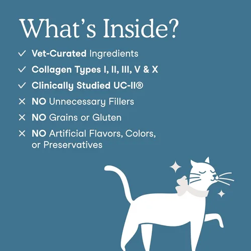 Miniatura 3 de Fera Pets Polvo de colágeno para gatos y perros, 5 tipos de colágeno + UC-II® clínicamente estudiado, suplemento para huesos, intestinos