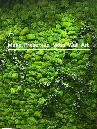 Miniatura 6 de Cojín Almohada de Musgo de Poste Preservado Color Verde Natural Decorativo Verde Natural Real Kit de Bricolaje Terrarios Arte de Jardinería 2-verde