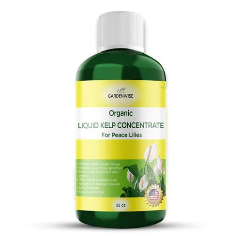 Miniatura 49 de GARDENWISE Fertilizante orgánico prémium de anturio de algas marinas – Alimento líquido para plantas de algas marinas – Potenciador de suelo rico