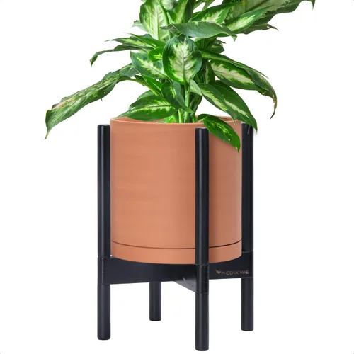 Miniatura 78 de D'vine Dev Maceta de cerámica con soporte de ébano – Maceta redonda moderna de 8 pulgadas con soporte para maceta de madera, color negro, 55-B-M-2