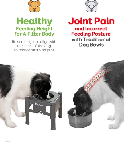 Miniatura 5 de Pawque Cuencos elevados de comida lenta para perros de 35 onzas con soporte ajustable (3 alturas de 6.1 pulgadas, 7.7 pulgadas, 9.3 pulgadas)