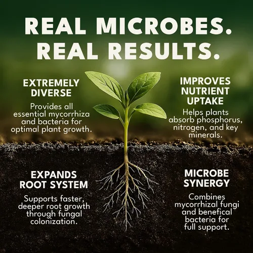 Miniatura 4 de Dirty Green Inoculante de hongos micorrícicos y bacterias beneficiosas de mezcla de microbios – 4 onzas en polvo, 1000 esporas/g, potenciador