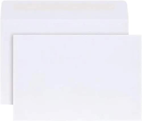 Reskid Sobres para folletos de 6 x 9 pulgadas, sello engomado, para correo o almacenamiento, tejido blanco de 24 libras, 500 por caja