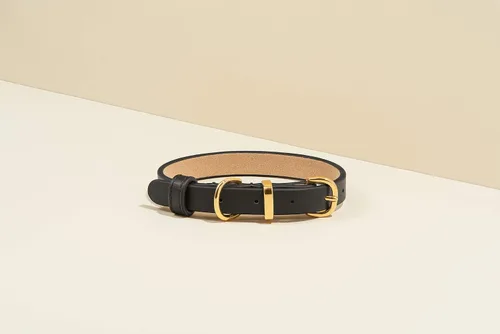 Miniatura 3 de SCAMPER & CO Collar de perro con hebilla chapada en oro amarillo de 18 quilates de bronce de 18 quilates con pirámide de microfibra, collar de perro