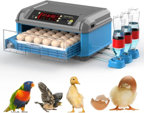 Incubadora automática de huevos de gallina 16-24 e incubadoras de pavo para incubar huevos Incubadora de huevos de aves de corral de granja con giro