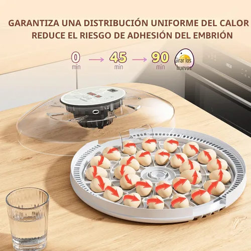 Miniatura 4 de MeeF Incubadora de huevos para incubar 28 huevos, giro automático, humidificador atomizador independiente, con bandejas de huevos de pato y ganso