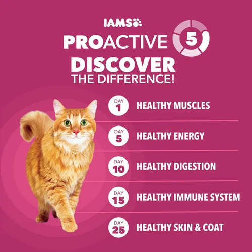 Miniatura 5 de IAMS PROACTIVE HEALTH - Alimento seco para gatos con pollo, para salud del tracto urinario para adultos, bolsa de 7 libras