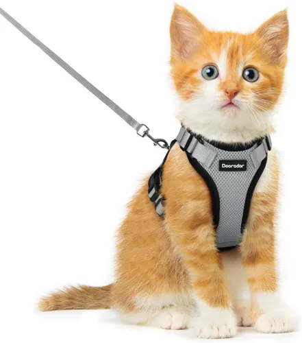 Miniatura 27 de Dooradar Juego de arnés y correa para gato, chaleco ajustable seguro a prueba de escapes, para caminar, chaqueta de malla suave y transpirable