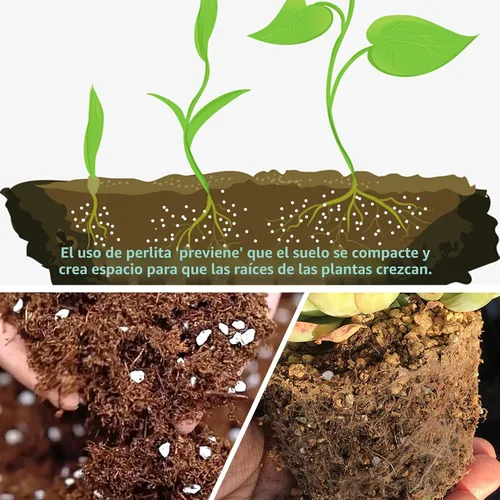 Miniatura 2 de 3 Cuartos de Galón de Perlita para Suelo de Plantas - Enmienda para Tierra de Macetas, Mejora el Drenaje y la Aireación del Suelo, Mejor