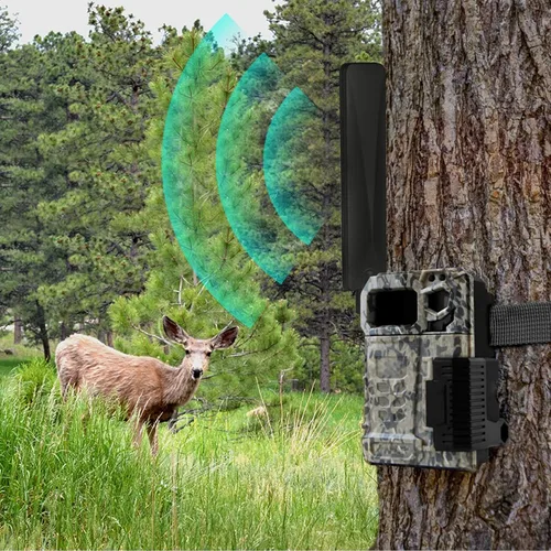Miniatura 3 de Bingfu Antena celular 4G LTE RP-SMA macho 9dBi paquete de 10 unidades para cámara de juego de senderos, enrutador inalámbrico, compatible
