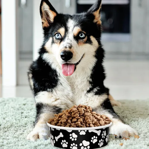 Miniatura 5 de Whaline 50 cuencos desechables para mascotas, cuencos de papel blanco y negro para perros, plato pequeño para perros de 16 onzas, 2 tazas, bandeja