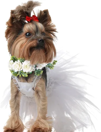 Miniatura 6 de Honoson Collar de flores de boda para perro, corona ajustable de rosas blancas artificiales con lazo de cinta, traje de mascota cachorro y gato