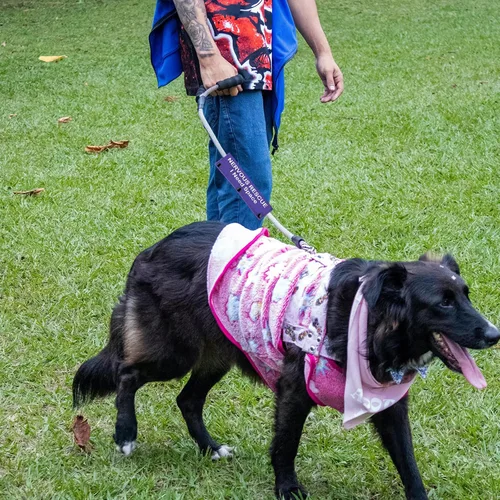 Miniatura 7 de Funda para correa para perro nervioso, espacio de rescate nervioso, parche para perro con distanciamiento social (espacio de rescate nervioso)