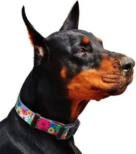 Miniatura 6 de Collar de perro para perros pequeños con patrón floral para hembras y perros, talla S A1_Girasol