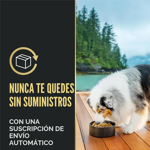 Miniatura 10 de Purina Pro Plan Complete Essentials - Alimento seco para perros con mezcla triturada de salmón y arroz, fórmula seca con probióticos para perros
