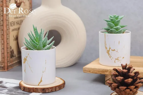 Miniatura 5 de Der Rose Juego de 2 plantas suculentas artificiales Mini plantas suculentas falsas para accesorios de oficina y hogar para mujeres 2-Verde