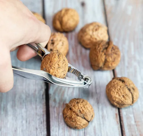 Miniatura 3 de Galletas y herramientas para patas de cangrejo, galletas y herramientas de langosta de mariscos, paquete de 4 galletas de nueces para patas