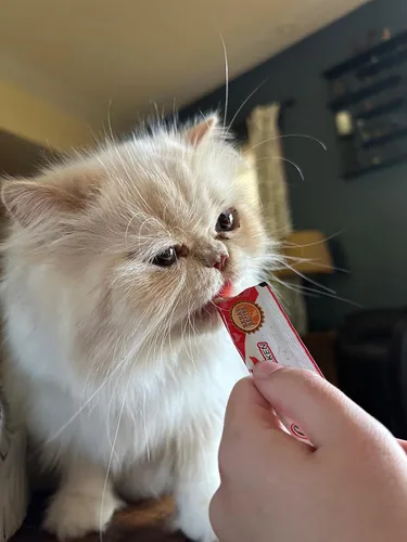 Miniatura 2 de Rena's Recipe Kitty Licks Lickable Cat Treats - Paquete variado de 60 tubos cremosos para gatos, puré sin granos, paquete de golosinas para exprimir