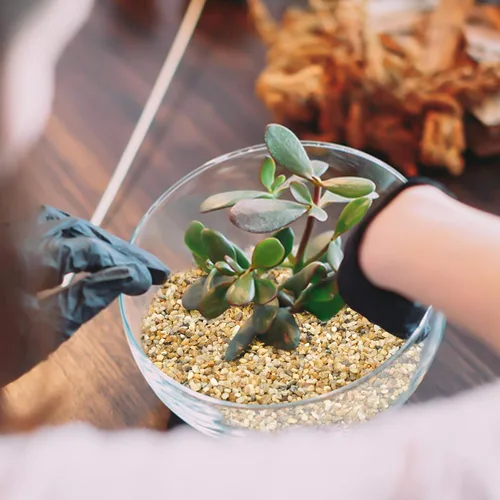 Miniatura 6 de Piedra de arena gruesa: arena de sílice para plantas, cubierta de suelo de arena para suculentas y cactus bonsái, rocas naturales, arena decorativa