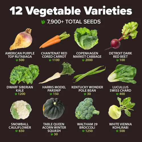 Miniatura 3 de HOME GROWN 12 semillas de invierno 7,900 semillas de reliquia, otoño y verduras para plantar huerto en casa: frijoles, remolacha, brócoli, repollo