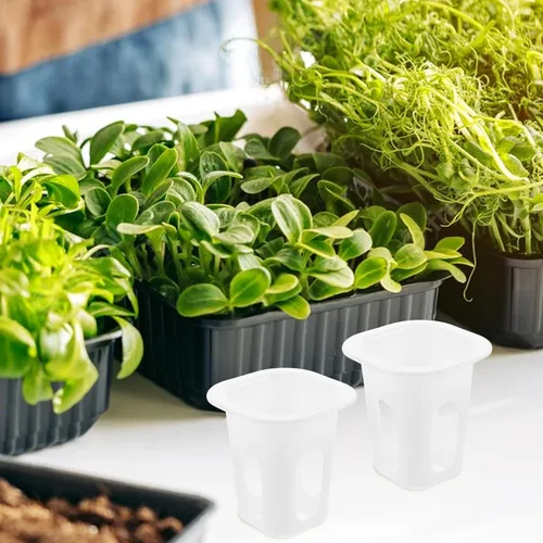 Miniatura 6 de Cabilock 50 macetas de orquídeas con agujeros, 50 cestas de cultivo hidropónicas, plantas para interiores y exteriores, para suministros de jardín