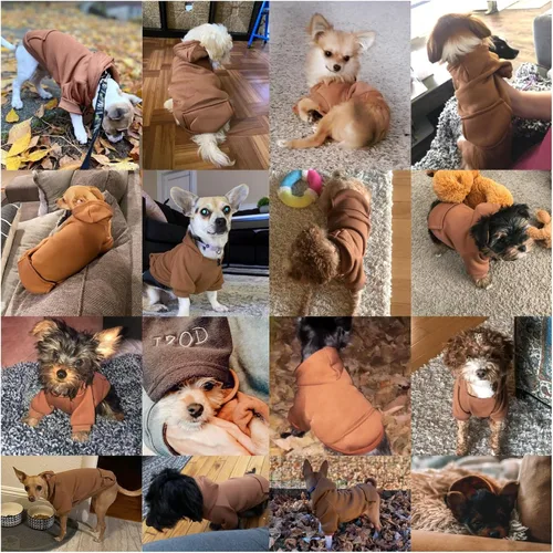 Miniatura 4 de Jecikelon - Sudadera con capucha y bolsillos, cálida para invierno, para perros pequeños, ropa de abrigo para chihuahuas, disfraz para cachorros
