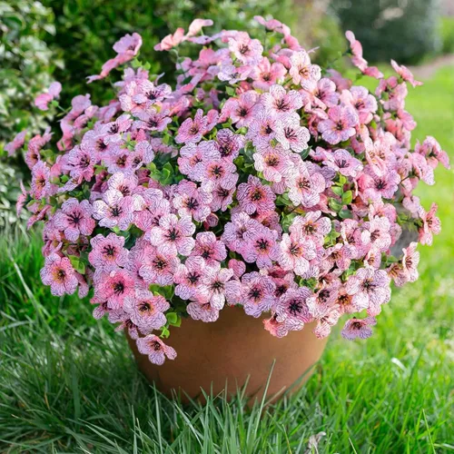 Miniatura 18 de florisso Plantas Artificiales Falsas Flores para Decoración Exterior, 12 Paquetes Margarita de Seda Sintética con Aspecto Real Resistente a UV