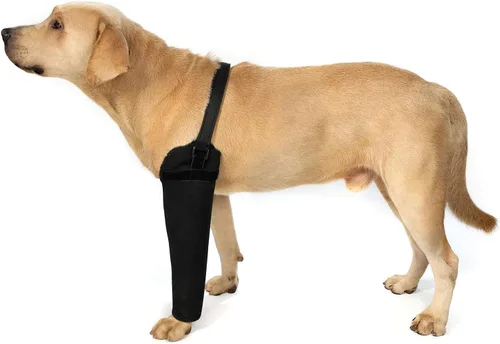 Manga de recuperación para perro, solo pierna delantera, alternativa al collar de cono, 0.098 pulgadas de grosor, impermeable, resistente a la