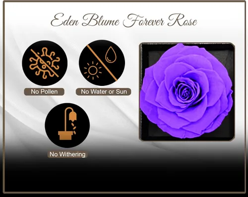 Miniatura 4 de Joyero de rosas eternas preservadas morado