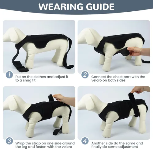 Miniatura 5 de Soporte de espalda para perro para IVDD y recuperación espinal, chaleco de apoyo transpirable ajustable para perro, protector lumbar para perros