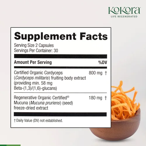 Miniatura 5 de kokora Cordyceps Energy - Suplemento orgánico de hongos adaptogénicos - Incluye extracto de Cordyceps orgánico certificado y macuna orgánica