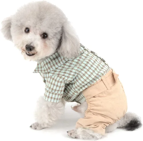 Miniatura 2 de SMALLLEE_Lucky_Store Camisas de algodón a cuadros británicos con botones para perros pequeños, niños con cinturón, pantalones casuales para Verde