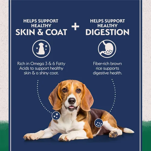 Miniatura 3 de Natural Balance Alimento seco para perros adultos de ingredientes limitados con granos saludables, receta de cordero y arroz integral, 12 libras