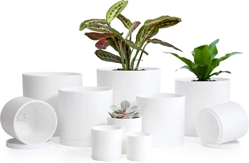 Miniatura 8 de D'vine Dev Paquete de 10 macetas de plástico para plantas, maceta cilíndrica para suculentas de interior de 6.5/6/5.5/4.5/4/3.5/3/2.5/2 pulgadas