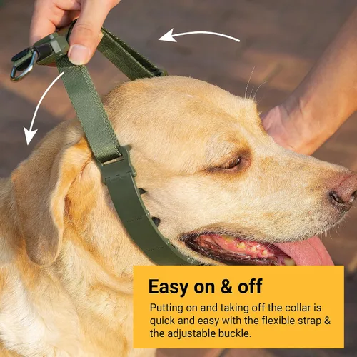 Miniatura 3 de SVD.PET Collar de punta para perro para entrenamiento sin tirones, hebilla de liberación rápida ajustable para perros pequeños