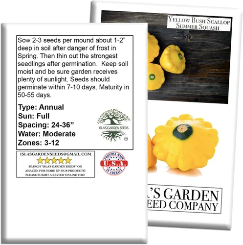 Miniatura 7 de Isla's Garden Seeds - Semillas de calabaza de verano de Yellow Bush Scallop (Pattypan, Cucurbita pepo var. clypeata) – Más de 30 semillas