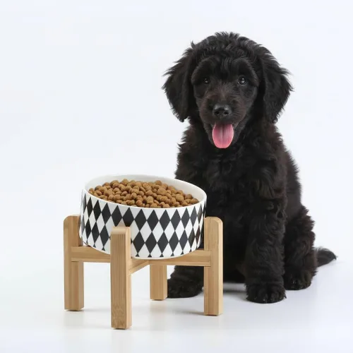 Miniatura 9 de Petygooing Cuenco Elevado/Alzado de Cerámica Inclinado 15° para Perros de Razas Pequeñas y Medianas, Cuenco Inclinado Antideslizante para Verde óxido