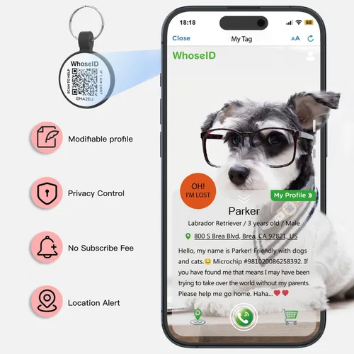 Miniatura 3 de Etiqueta para gatos con código QR, página de visualización de perfil en línea de mascotas, múltiples contactos de emergencia, silicona silenciosa