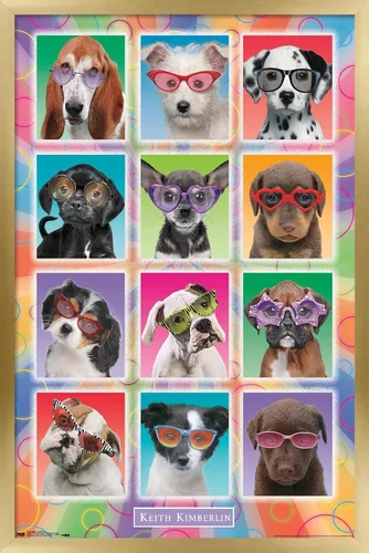 Miniatura 19 de Trends International Keith Kimberlin - Póster de pared con diseño de cachorros, gafas de sol, 14.725 x 22.375 pulgadas, versión enmarcada de madera
