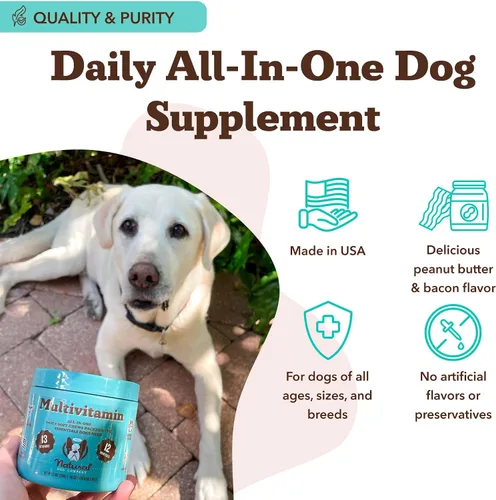 Miniatura 7 de Natural Dog Company Multivitamínico 25 en 1 para perros – Masticables suaves formulados por veterinarios para cachorros, adultos y perros mayores
