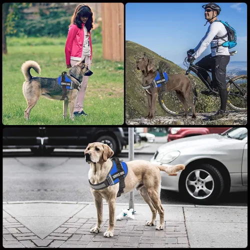 Miniatura 4 de JSXD - Arnés para perro, sin tirones, con asa ajustable, para exteriores, chaleco de nailon reflectante 3M, fácil control del perro, para perros Azul